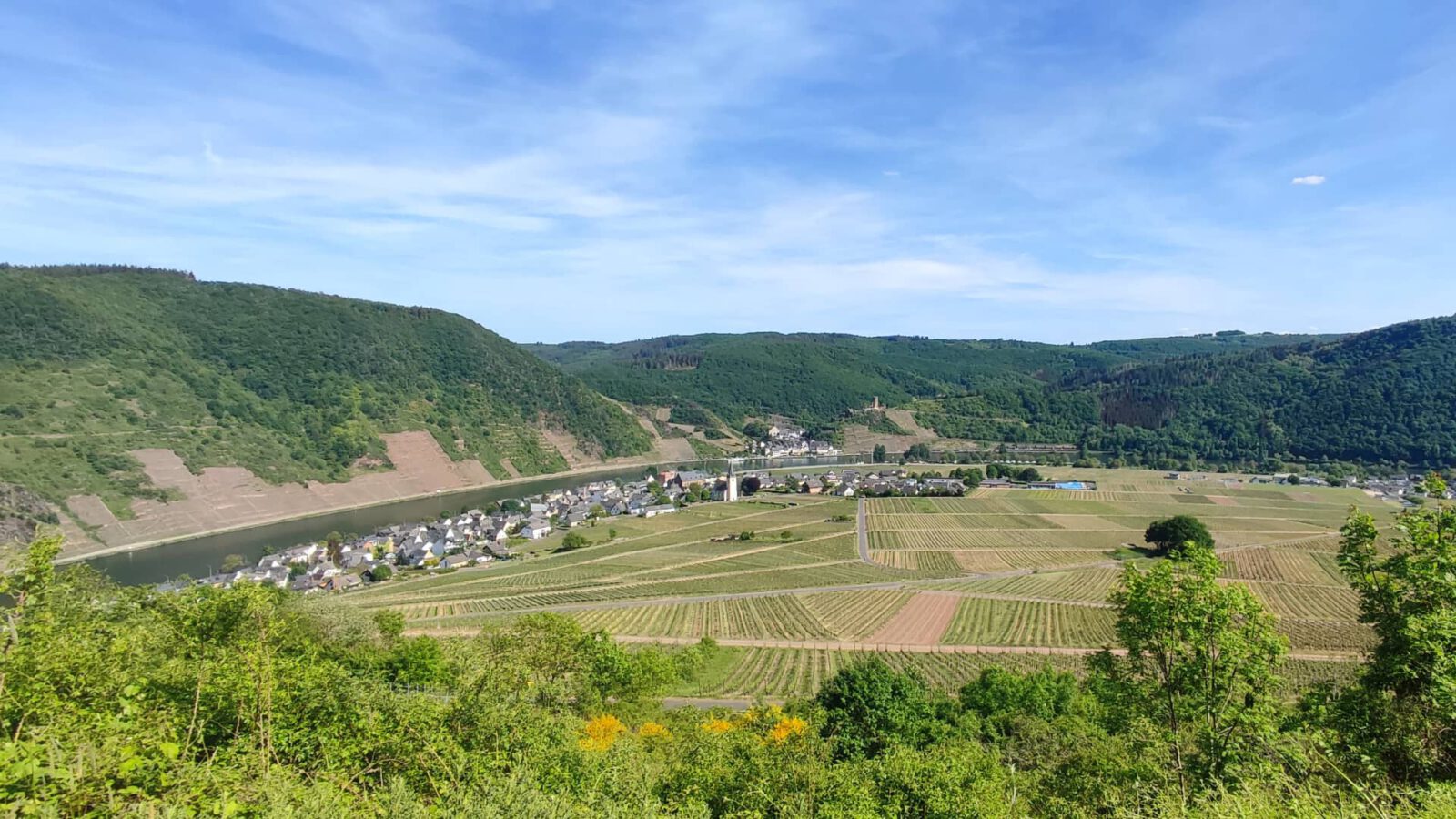 Ferienwohnung "An der Mosel" - Ellenz-Poltersdorf - Blick auf Ellenz