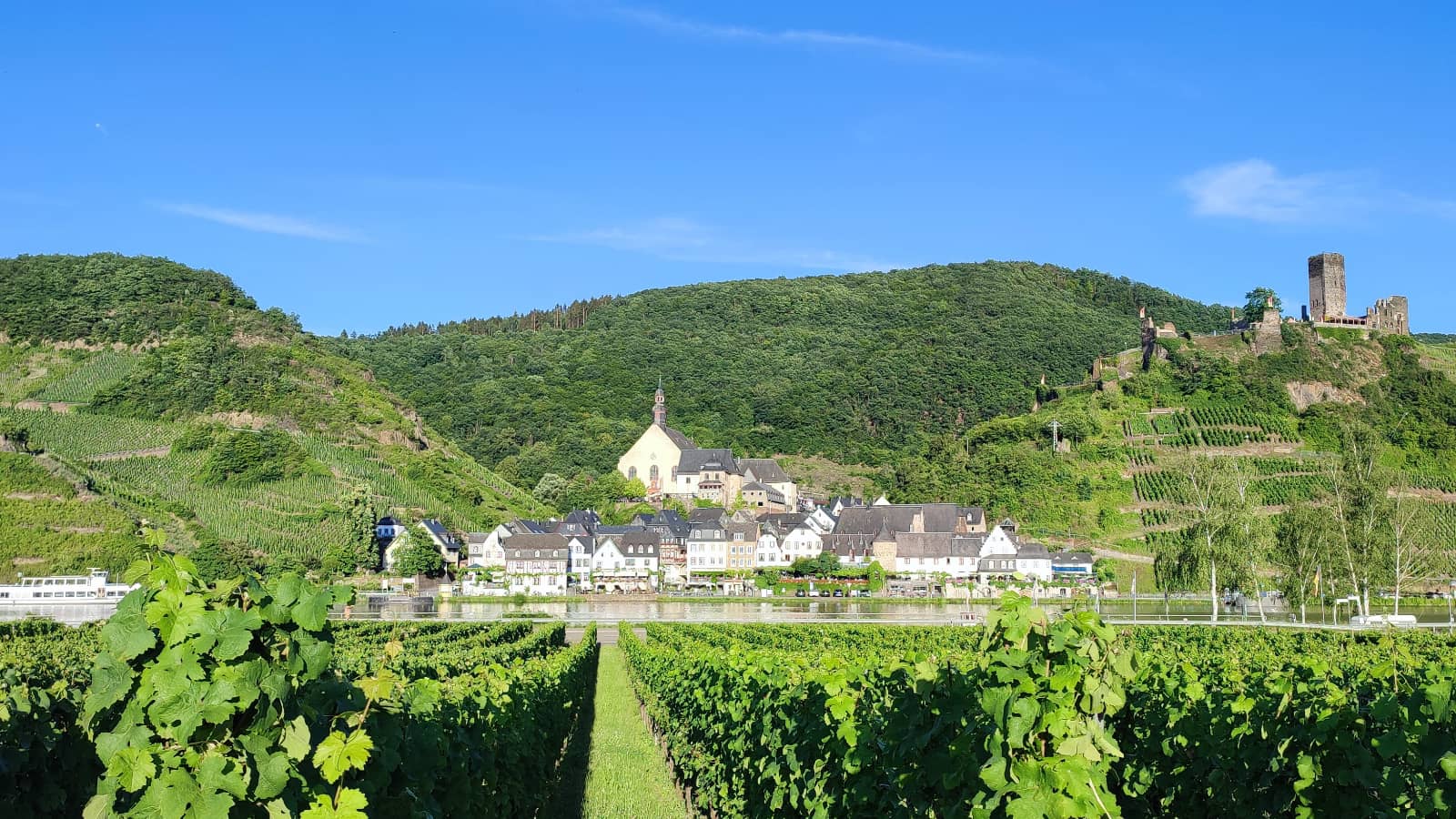 Ferienwohnung "An der Mosel" - Ellenz-Poltersdorf - Mosel erleben - Blick auf Beilstein