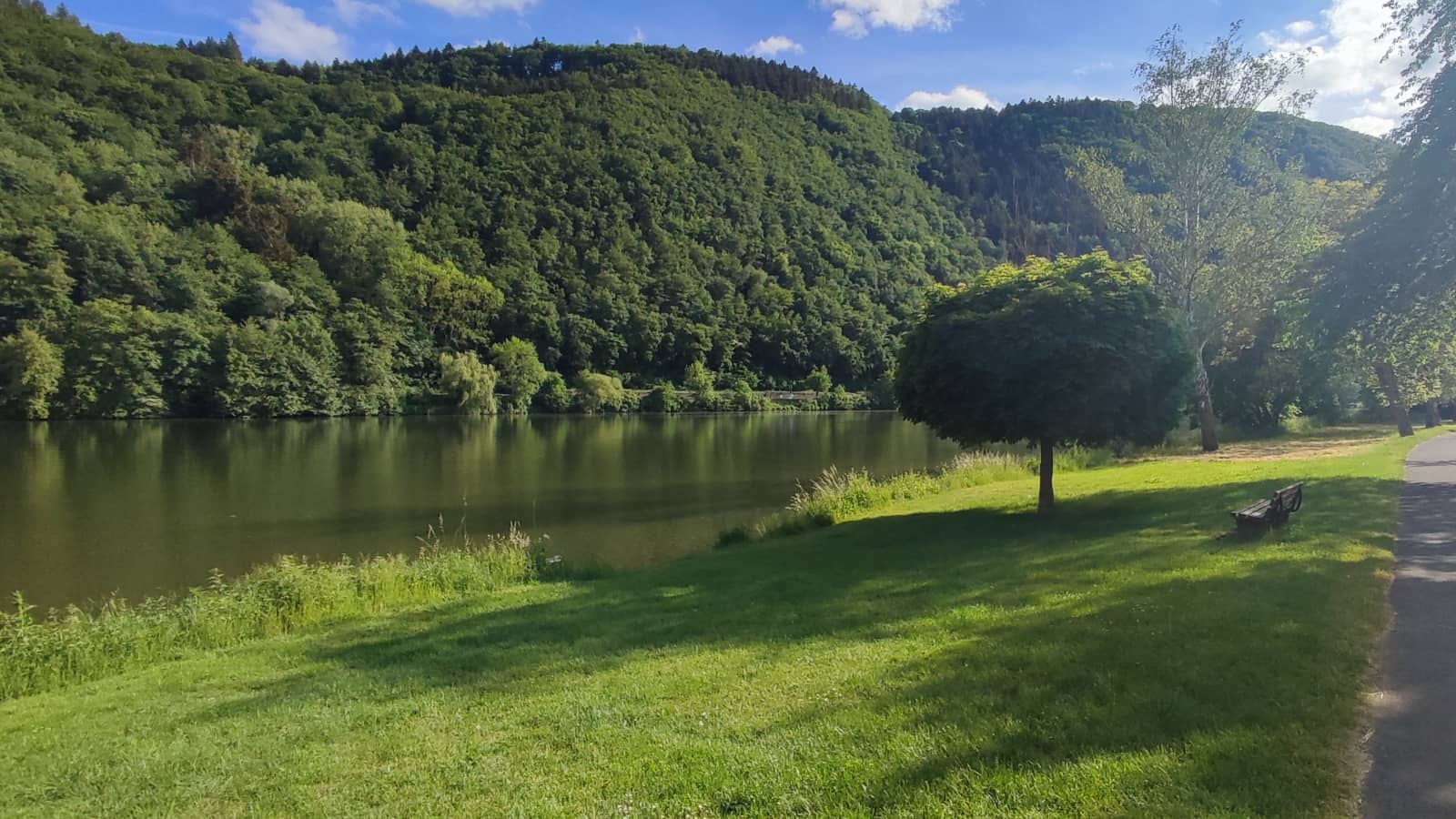 Ferienwohnung "An der Mosel" - Ellenz-Poltersdorf - Mosel erleben - Moselufer