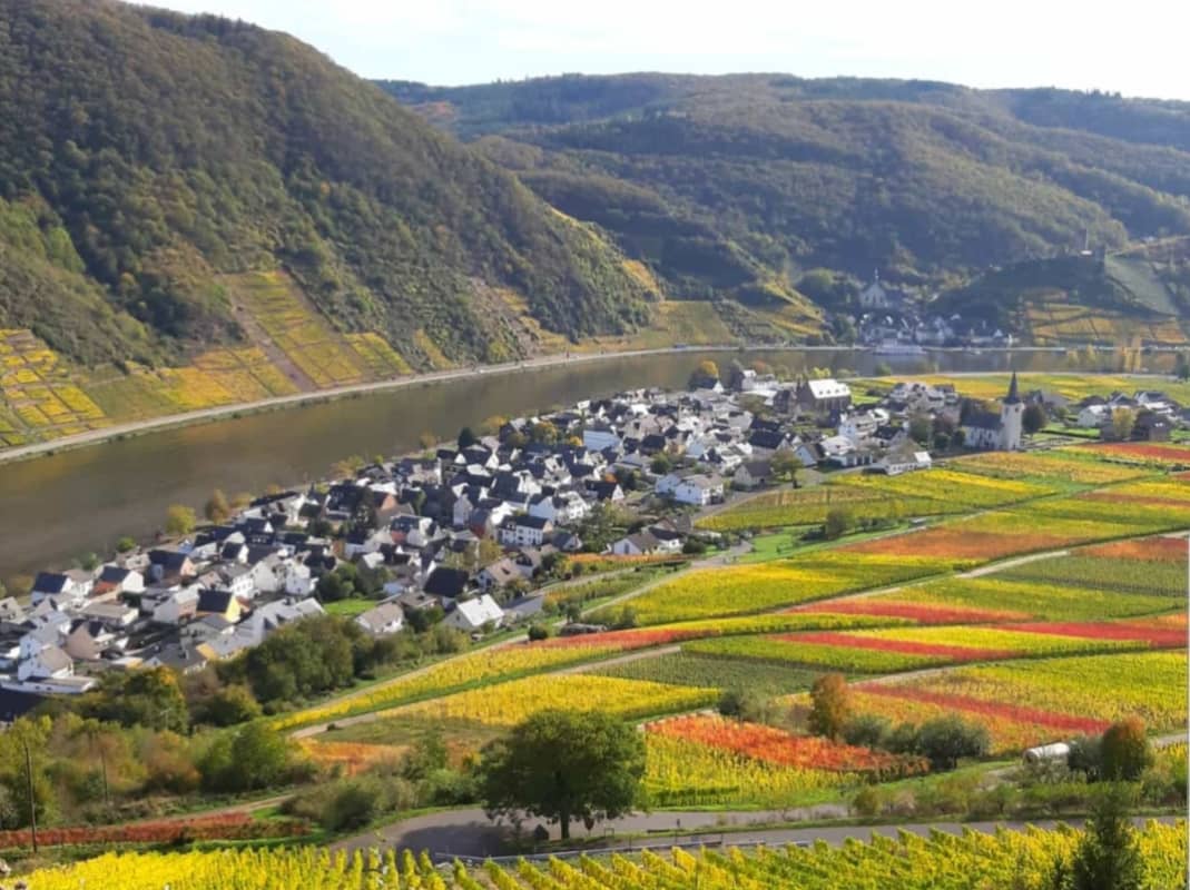 Ferienwohnung "An der Mosel" - Ellenz-Poltersdorf - Mosel erleben - Weinberge